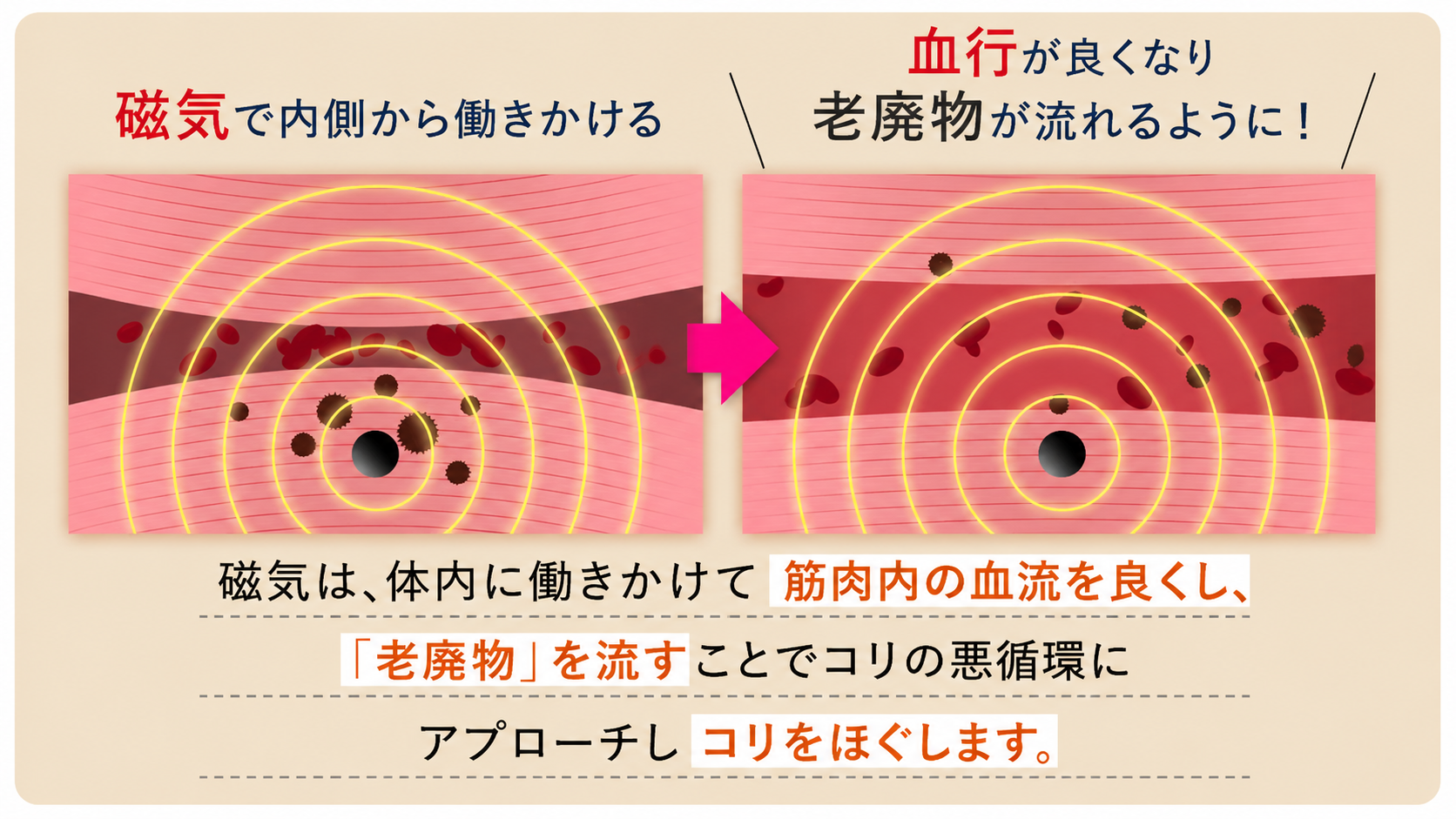 日本初・唯一の医療機器認証マットレス
